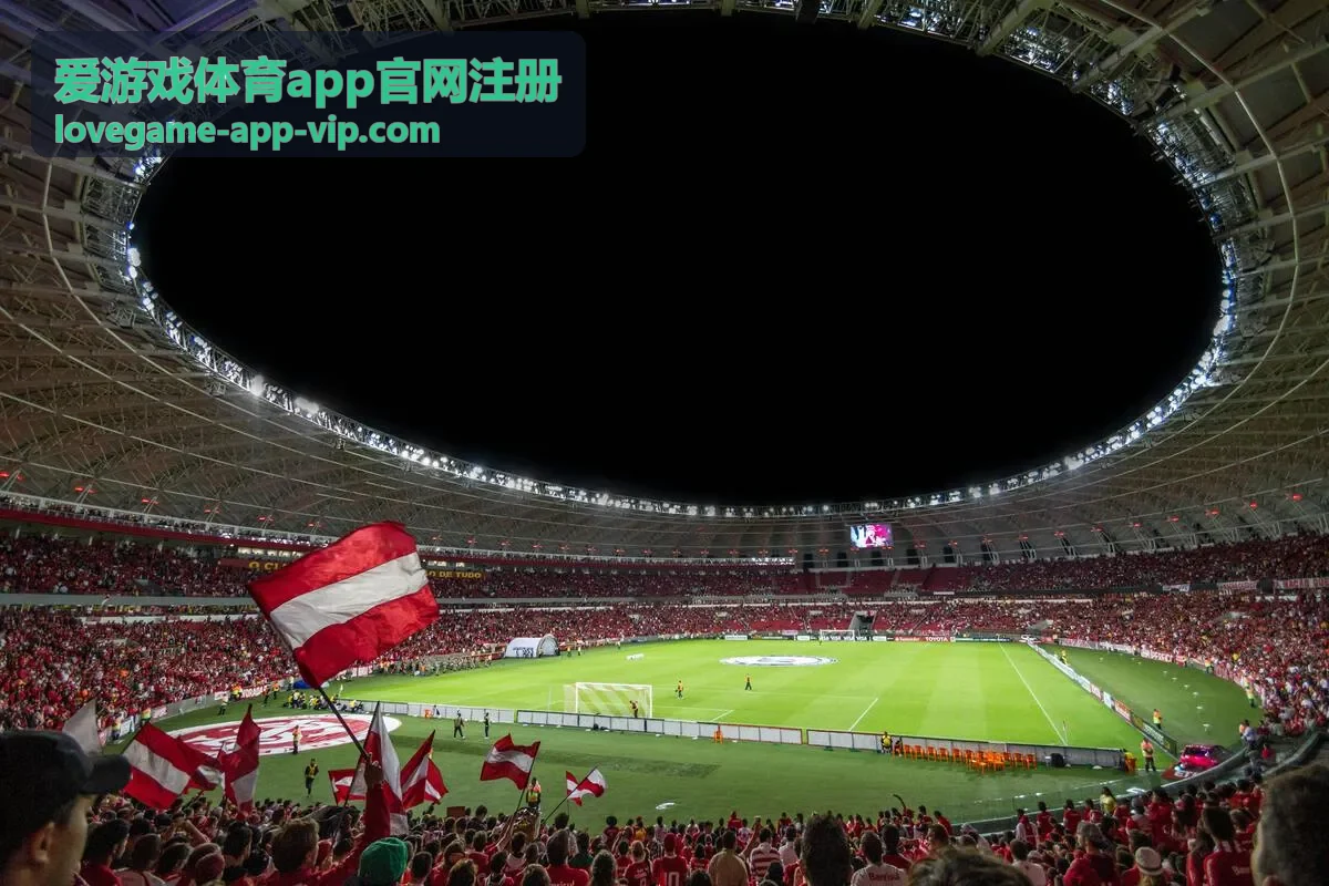 爱游戏体育app 专属客服